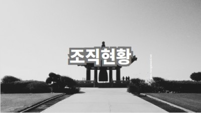 조직현황
